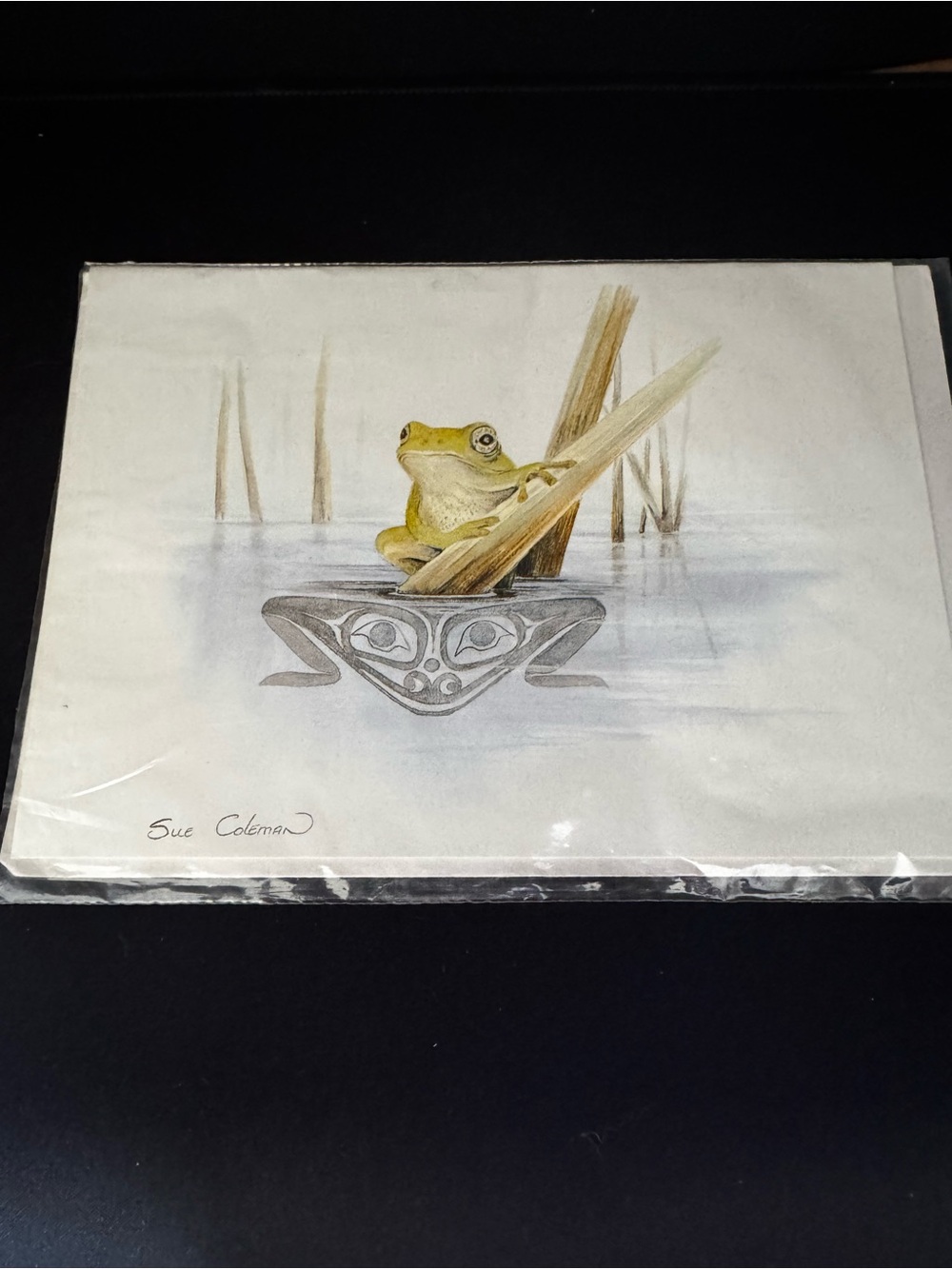 Coleman Green Frog Art Print - Frog Illustration